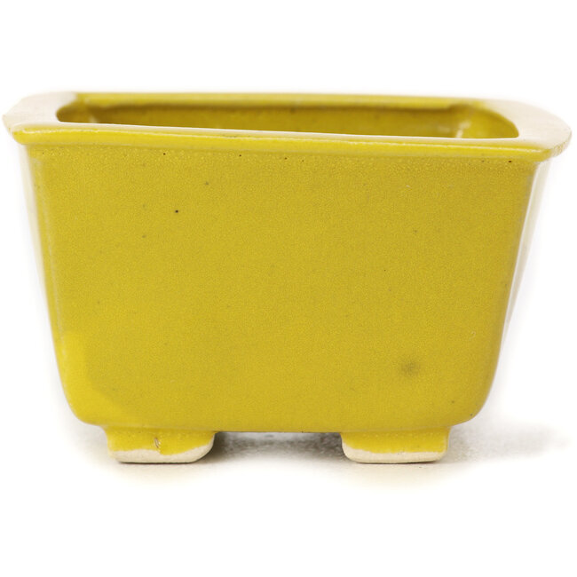Quadratische gelbe Bonsaischale von Seto - 85 x 85 x 50 mm