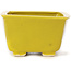 Maceta de bonsái amarilla cuadrada de Seto - 85 x 85 x 50 mm