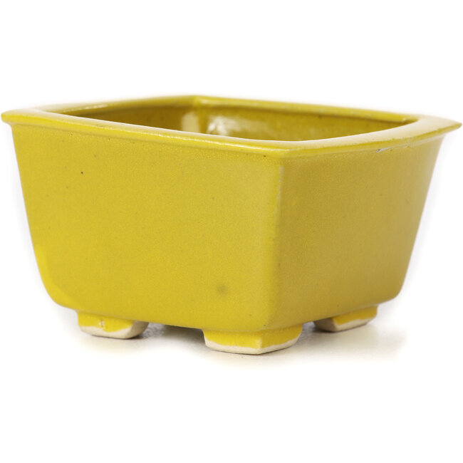 Vierkante gele bonsaipot van Seto - 85 x 85 x 50 mm