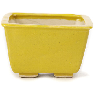 Seto 85 mm square yellow bonsai pot by Seto, Japan