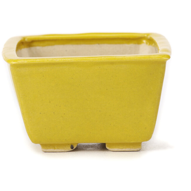 Quadratische gelbe Bonsaischale von Seto - 85 x 80 x 50 mm