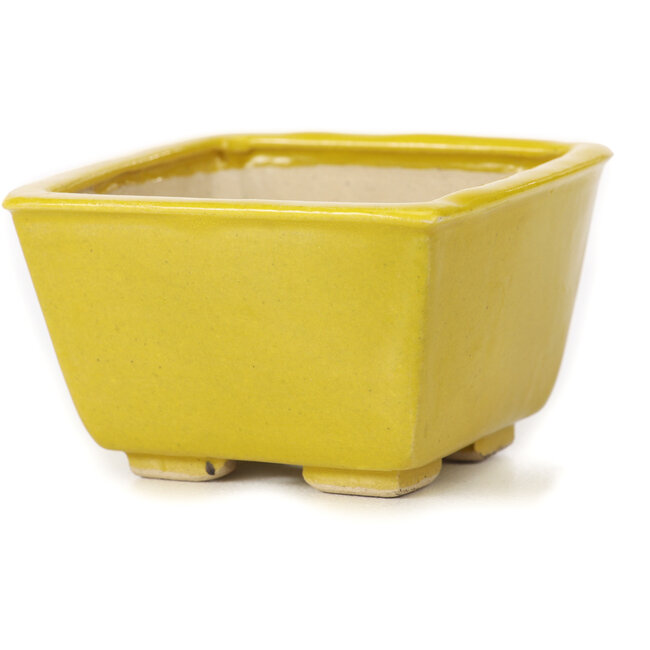 Maceta de bonsái amarilla cuadrada de Seto - 85 x 80 x 50 mm