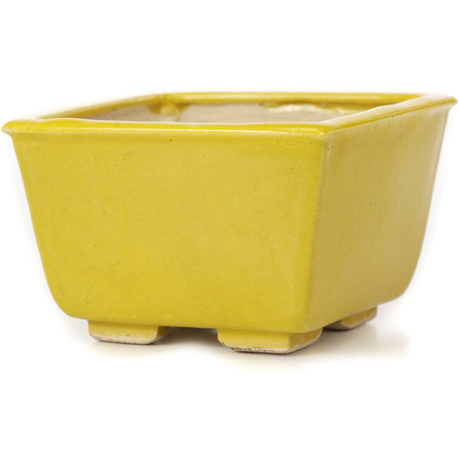 Maceta de bonsái amarilla cuadrada de Seto - 85 x 80 x 50 mm