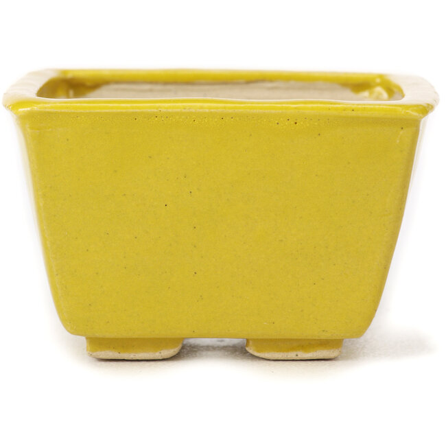 Vaso bonsai quadrato giallo di Seto - 85 x 80 x 50 mm
