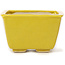 Pot à bonsaï carré jaune par Seto - 85 x 80 x 50 mm
