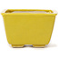 Square yellow bonsai pot by Seto - 85 x 80 x 50 mm