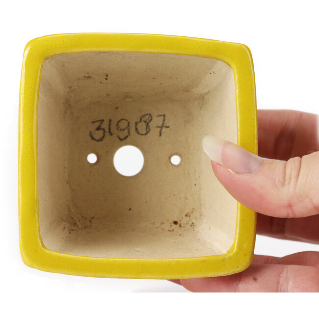 Maceta de bonsái amarilla cuadrada de Seto - 85 x 80 x 50 mm