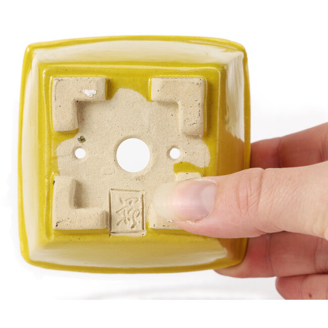 Square yellow bonsai pot by Seto - 85 x 80 x 50 mm