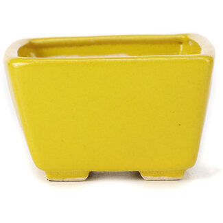 Seto 80 mm square yellow bonsai pot by Seto, Japan