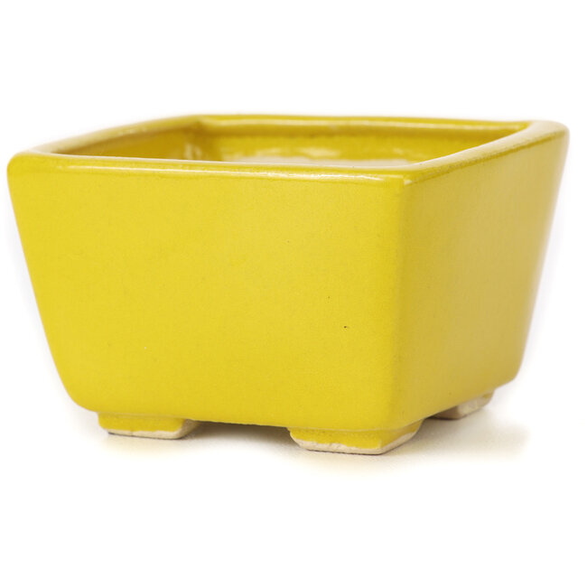 Square yellow bonsai pot by Seto - 80 x 80 x 50 mm