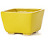 Vaso bonsai quadrato giallo di Seto - 80 x 80 x 50 mm