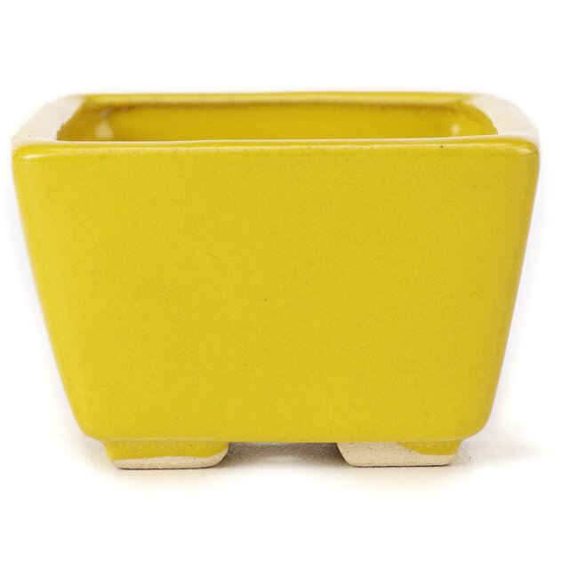 Maceta de bonsái amarilla cuadrada de Seto - 80 x 80 x 50 mm