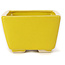Vaso bonsai quadrato giallo di Seto - 80 x 80 x 50 mm