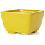 Square yellow bonsai pot by Seto - 80 x 80 x 50 mm