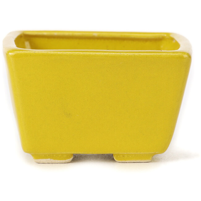 Vierkante gele bonsaipot van Seto - 80 x 80 x 50 mm