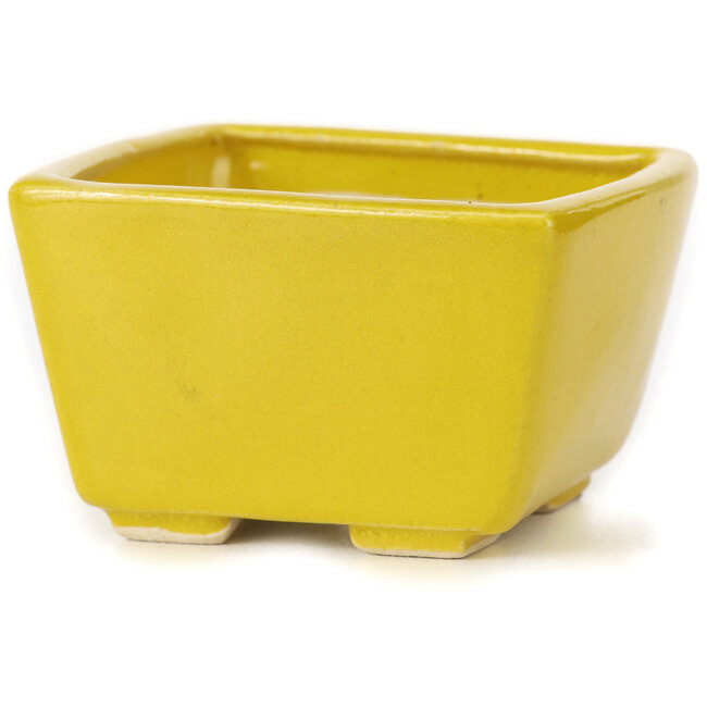 Square yellow bonsai pot by Seto - 80 x 80 x 50 mm