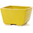 Vaso bonsai quadrato giallo di Seto - 80 x 80 x 50 mm
