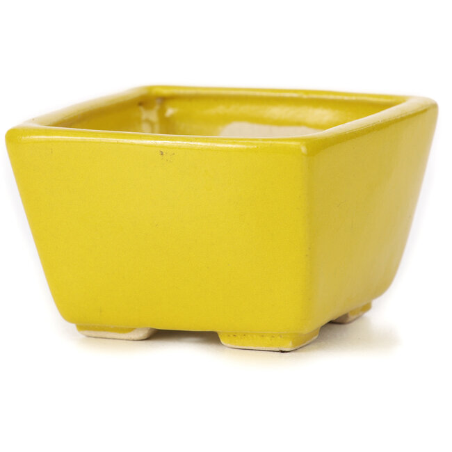 Vierkante gele bonsaipot van Seto - 80 x 80 x 50 mm