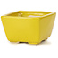 Vaso bonsai quadrato giallo di Seto - 80 x 80 x 50 mm