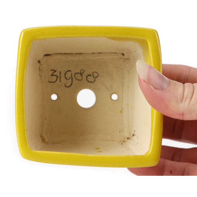 Vaso bonsai quadrato giallo di Seto - 80 x 80 x 50 mm