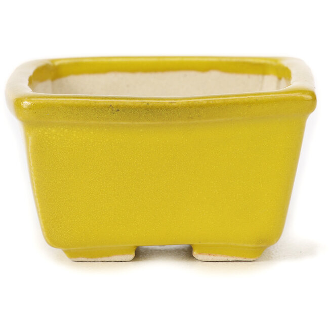 Vaso bonsai quadrato giallo di Seto - 85 x 80 x 45 mm