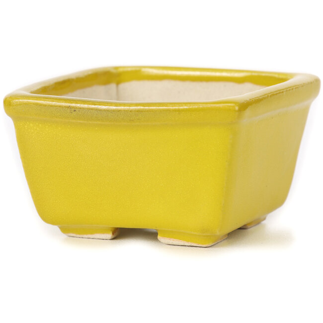 Maceta de bonsái amarilla cuadrada de Seto - 85 x 80 x 45 mm