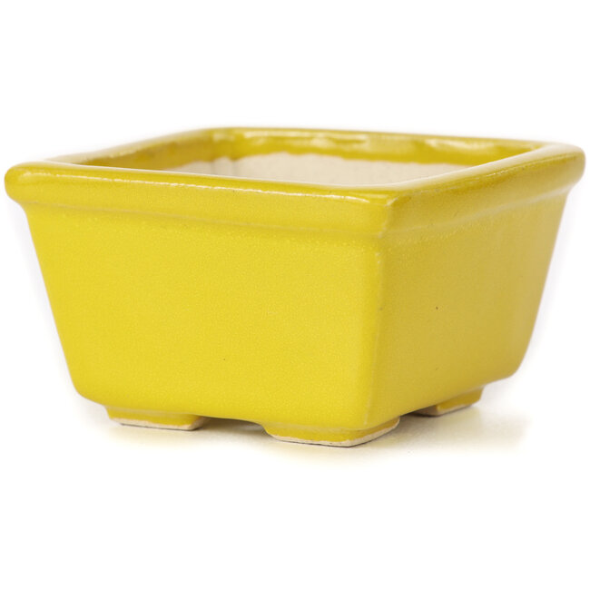 Quadratische gelbe Bonsaischale von Seto - 85 x 80 x 45 mm