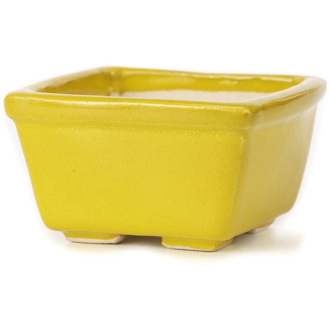 Pot à bonsaï carré jaune par Seto - 85 x 80 x 45 mm