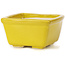 Square yellow bonsai pot by Seto - 85 x 80 x 45 mm