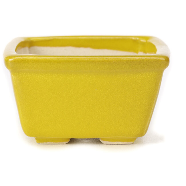 Pot à bonsaï carré jaune par Seto - 85 x 80 x 45 mm