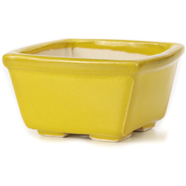 Maceta de bonsái amarilla cuadrada de Seto - 85 x 80 x 45 mm