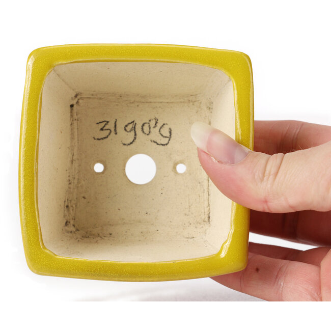 Vierkante gele bonsaipot van Seto - 85 x 80 x 45 mm