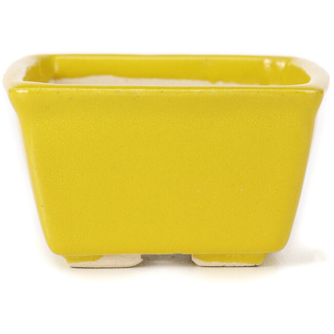 Vierkante gele bonsaipot van Seto - 85 x 80 x 50 mm