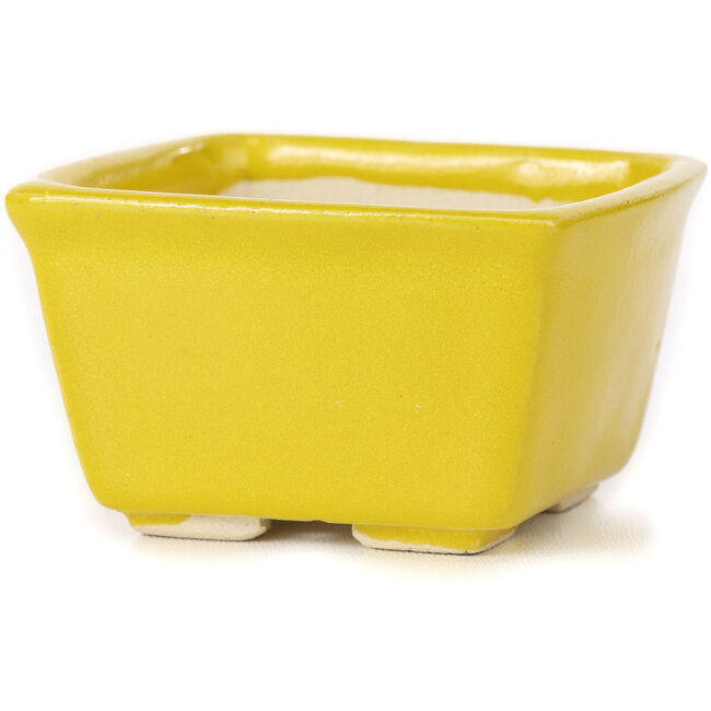 Pot à bonsaï carré jaune par Seto - 85 x 80 x 50 mm