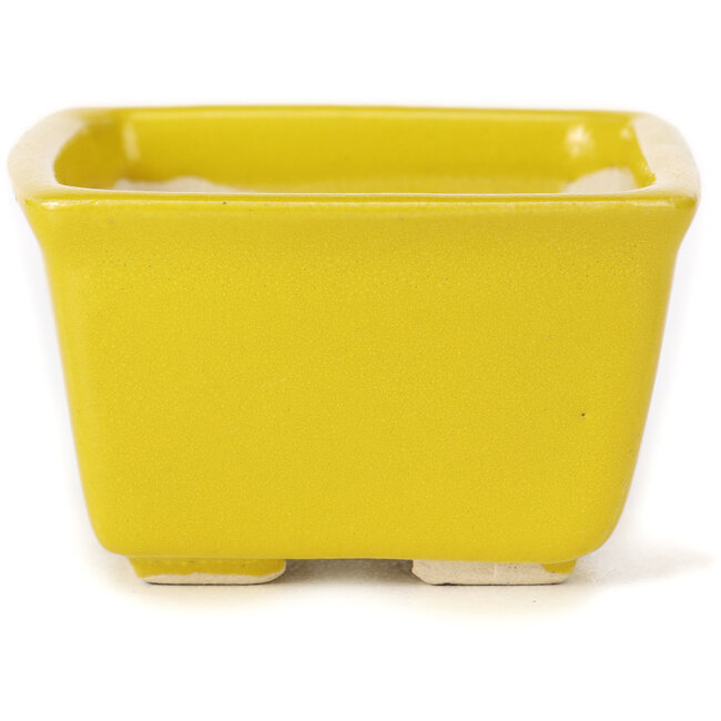 Vierkante gele bonsaipot van Seto - 85 x 80 x 50 mm