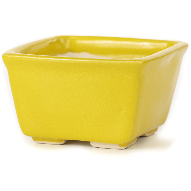 Pot à bonsaï carré jaune par Seto - 85 x 80 x 50 mm