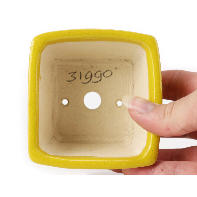 Pot à bonsaï carré jaune par Seto - 85 x 80 x 50 mm