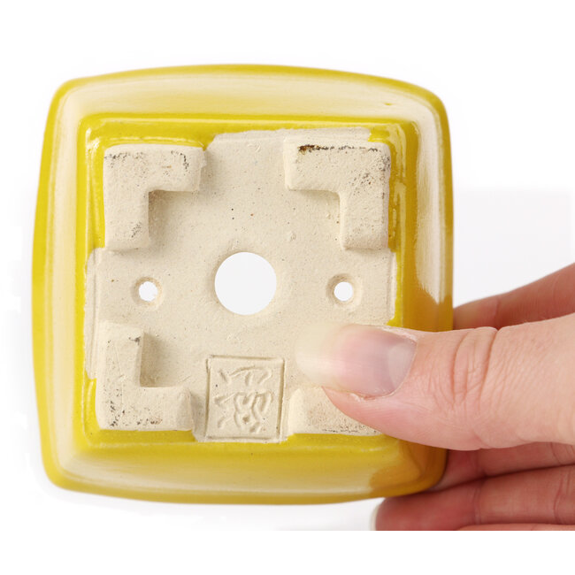 Square yellow bonsai pot by Seto - 85 x 80 x 50 mm
