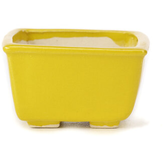 Seto 85 mm square yellow bonsai pot by Seto, Japan