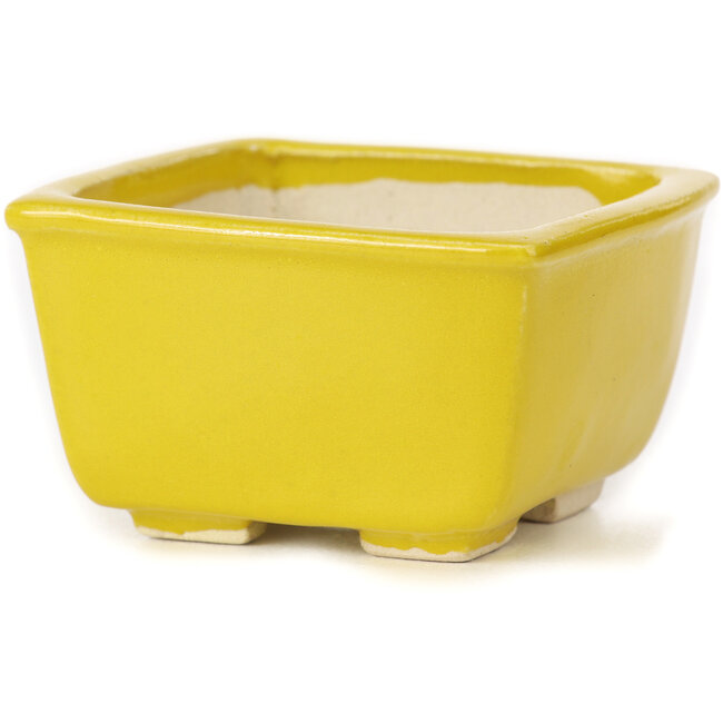 Vaso bonsai quadrato giallo di Seto - 85 x 85 x 45 mm