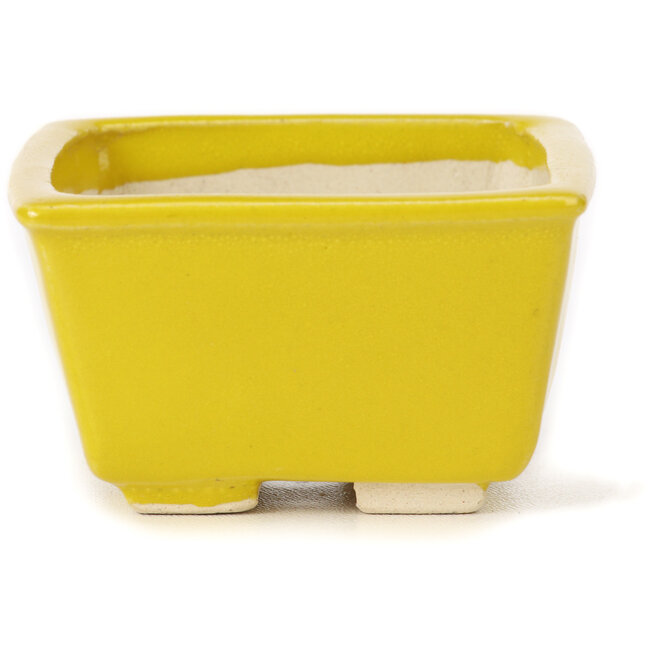 Quadratische gelbe Bonsaischale von Seto - 85 x 85 x 45 mm