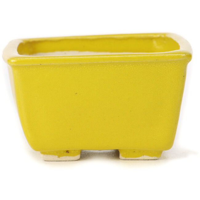 Square yellow bonsai pot by Seto - 85 x 85 x 45 mm