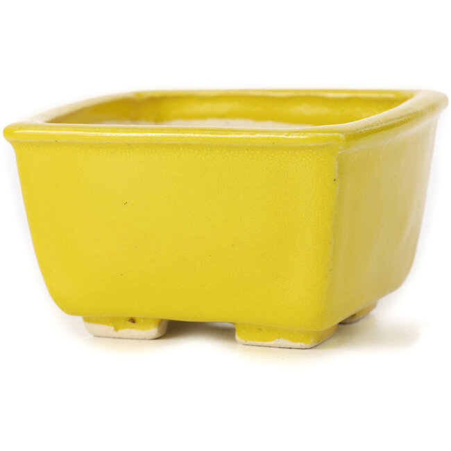 Square yellow bonsai pot by Seto - 85 x 85 x 45 mm
