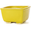 Maceta de bonsái amarilla cuadrada de Seto - 85 x 85 x 45 mm