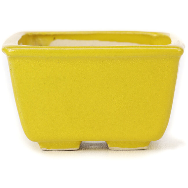 Maceta de bonsái amarilla cuadrada de Seto - 85 x 85 x 45 mm