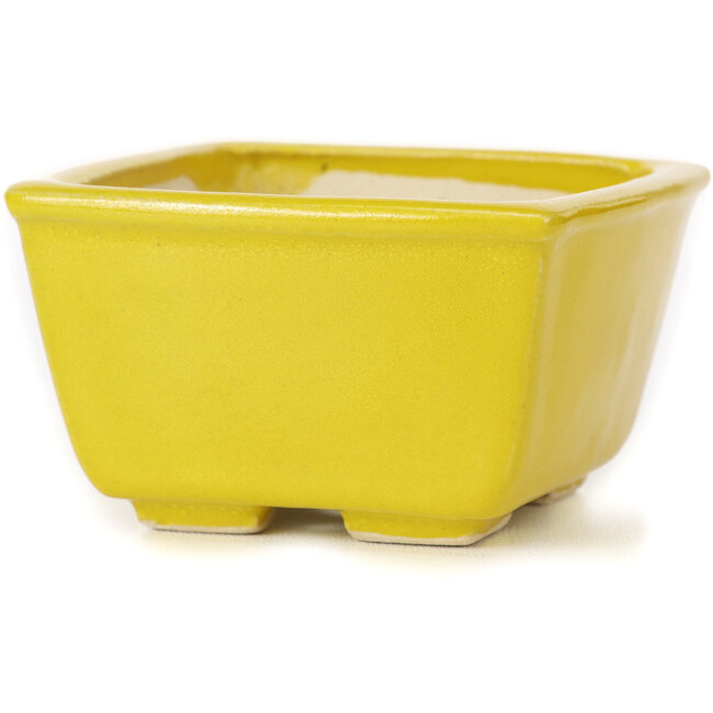 Vaso bonsai quadrato giallo di Seto - 85 x 85 x 45 mm