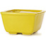 Pot à bonsaï carré jaune par Seto - 85 x 85 x 45 mm