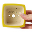 Quadratische gelbe Bonsaischale von Seto - 85 x 85 x 45 mm