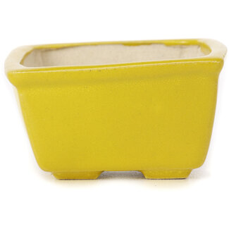 Seto 85 mm square yellow bonsai pot by Seto, Japan