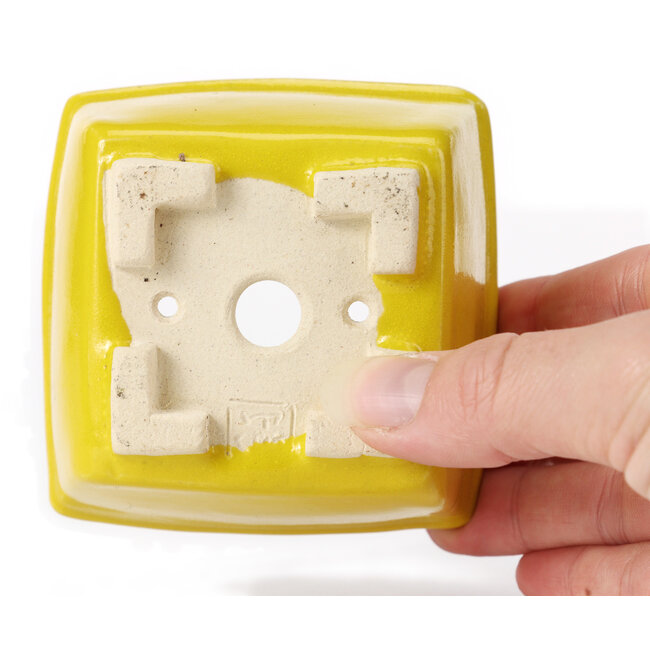 Pot à bonsaï carré jaune par Seto - 85 x 85 x 45 mm